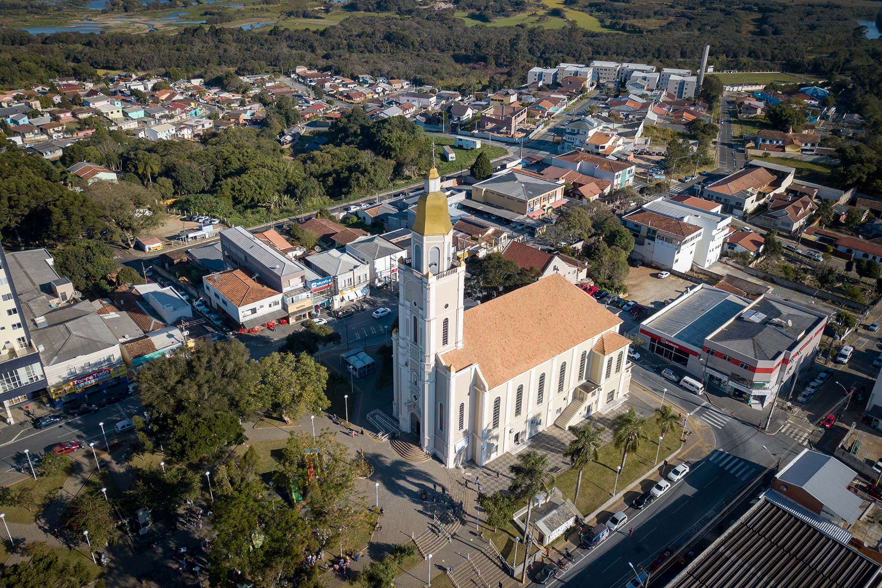 Araucária